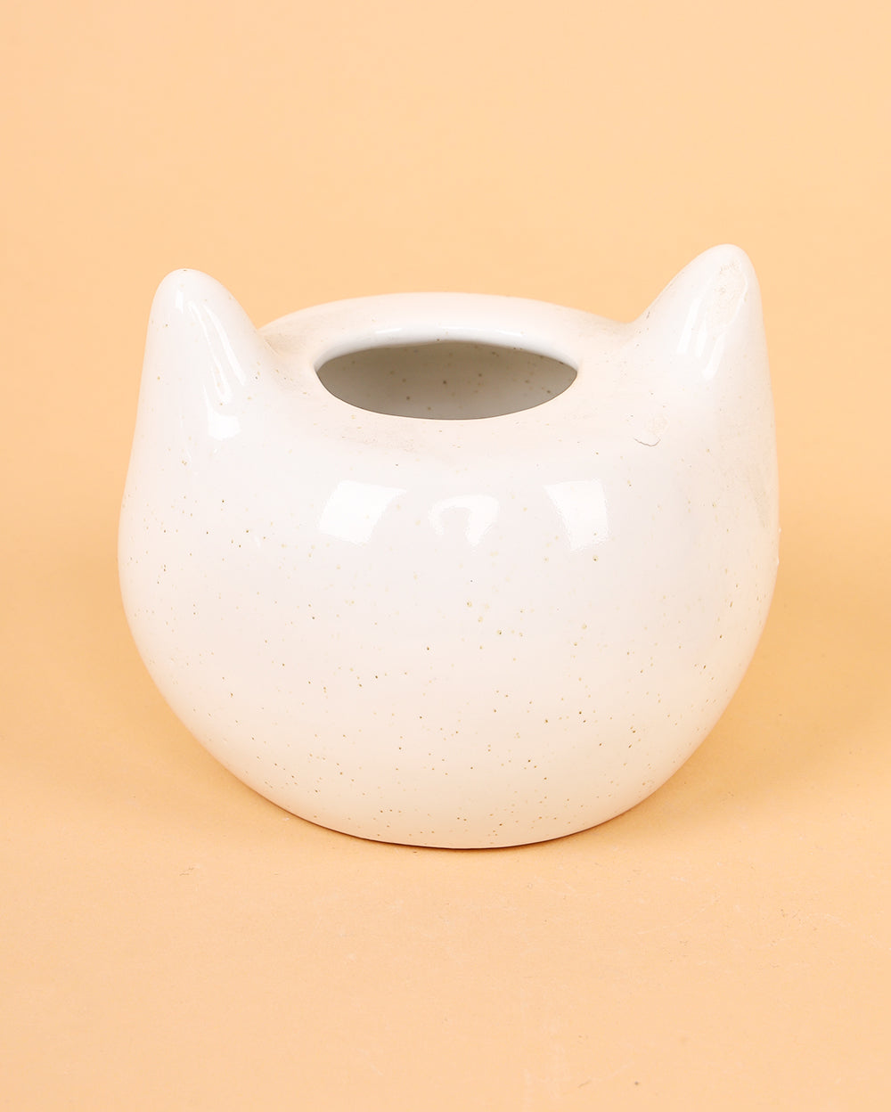 Jenny kitty planter