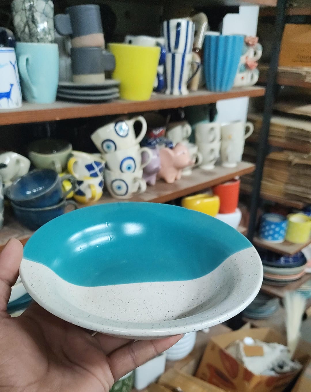 Half n half pasta plate 7 inch