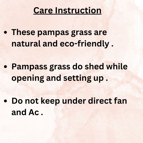 Goldy pampass ( 5 Sticks )