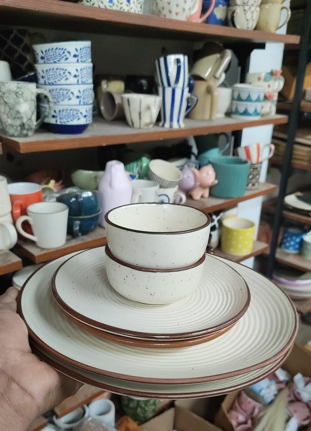 Ceramic Dinner Set 6 Pcs