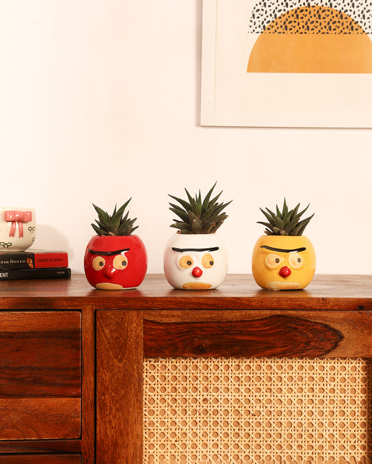 Cute Ceramic Hand-Painted Planter Set of 3 ( Without Plant)