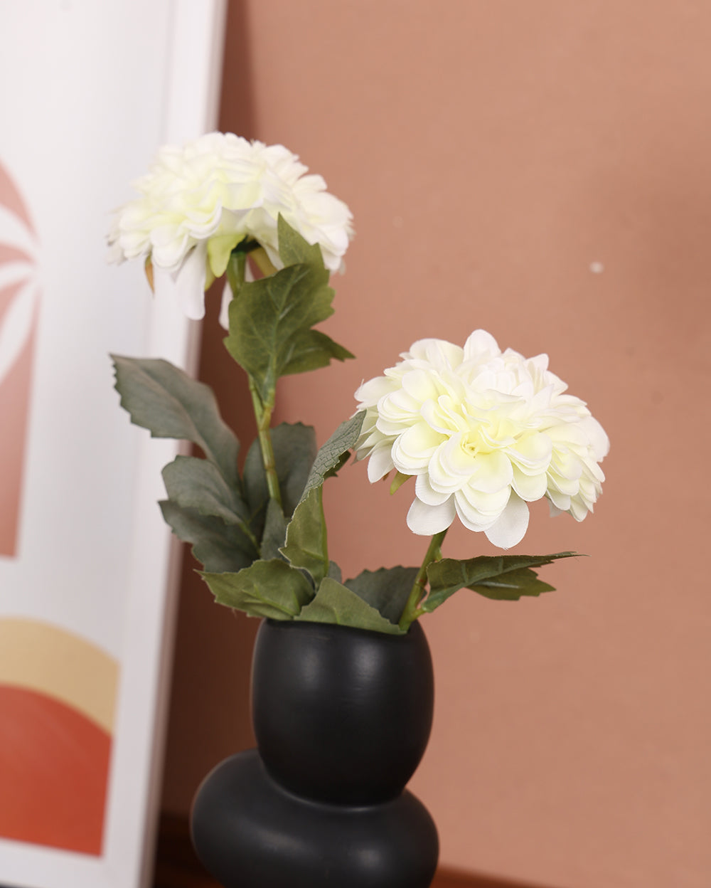 Peace-maker carnations