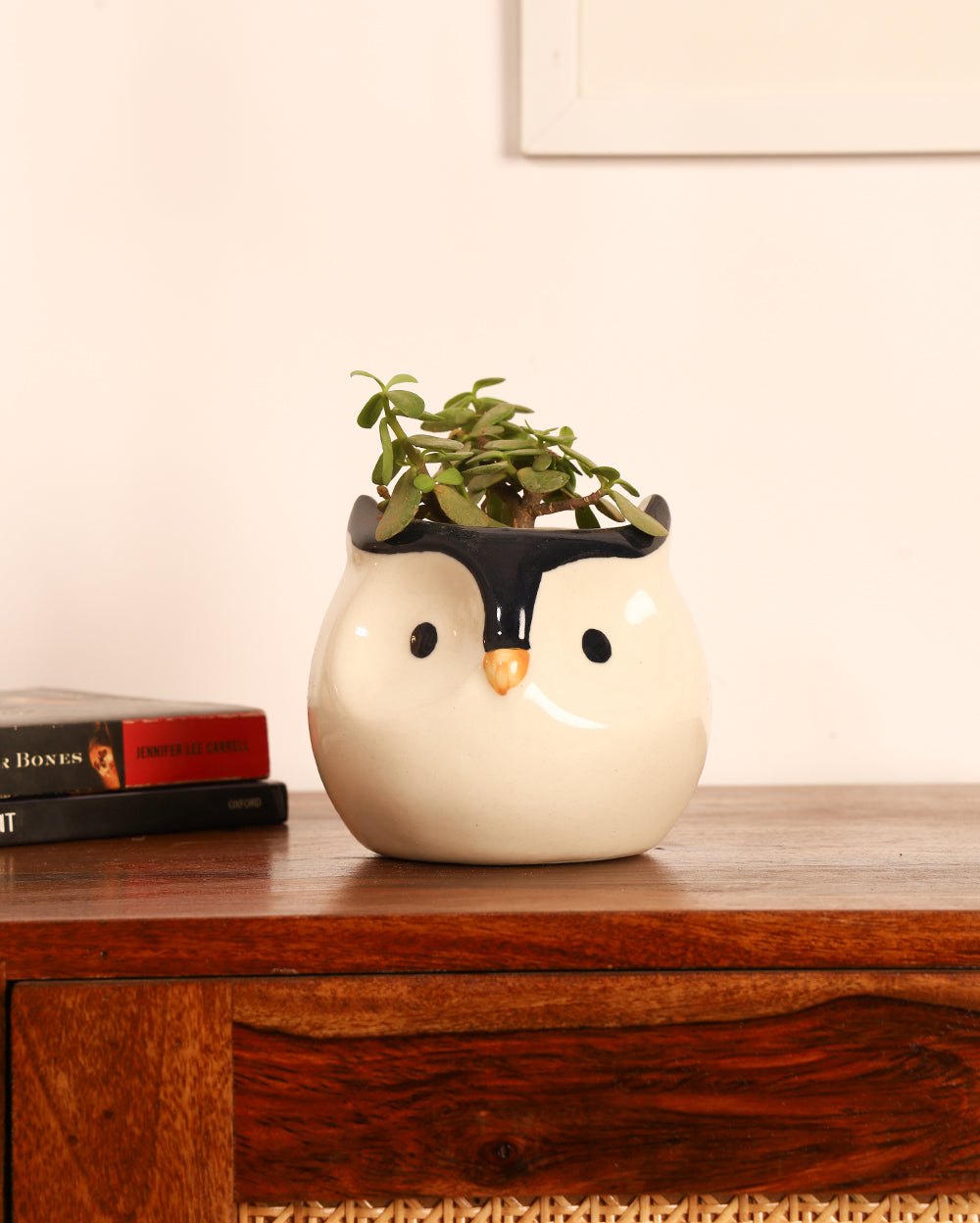 Cute Ceramic Hand-Painted Planter Set of 2 ( Without Plant)
