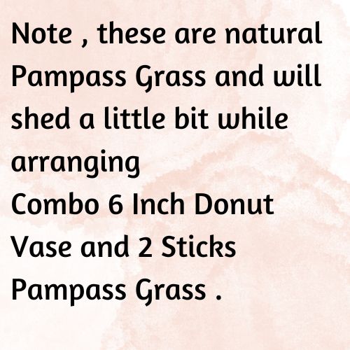 6 inch Matte Donut Vase and Natural Pampass Set