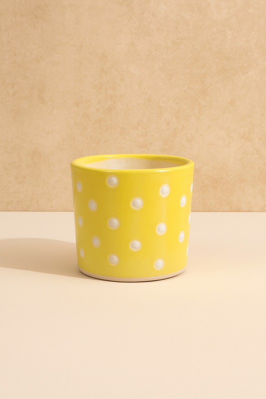 Ceramic Indoor Hand-Painted Planter 5 Inch   Without Plant)