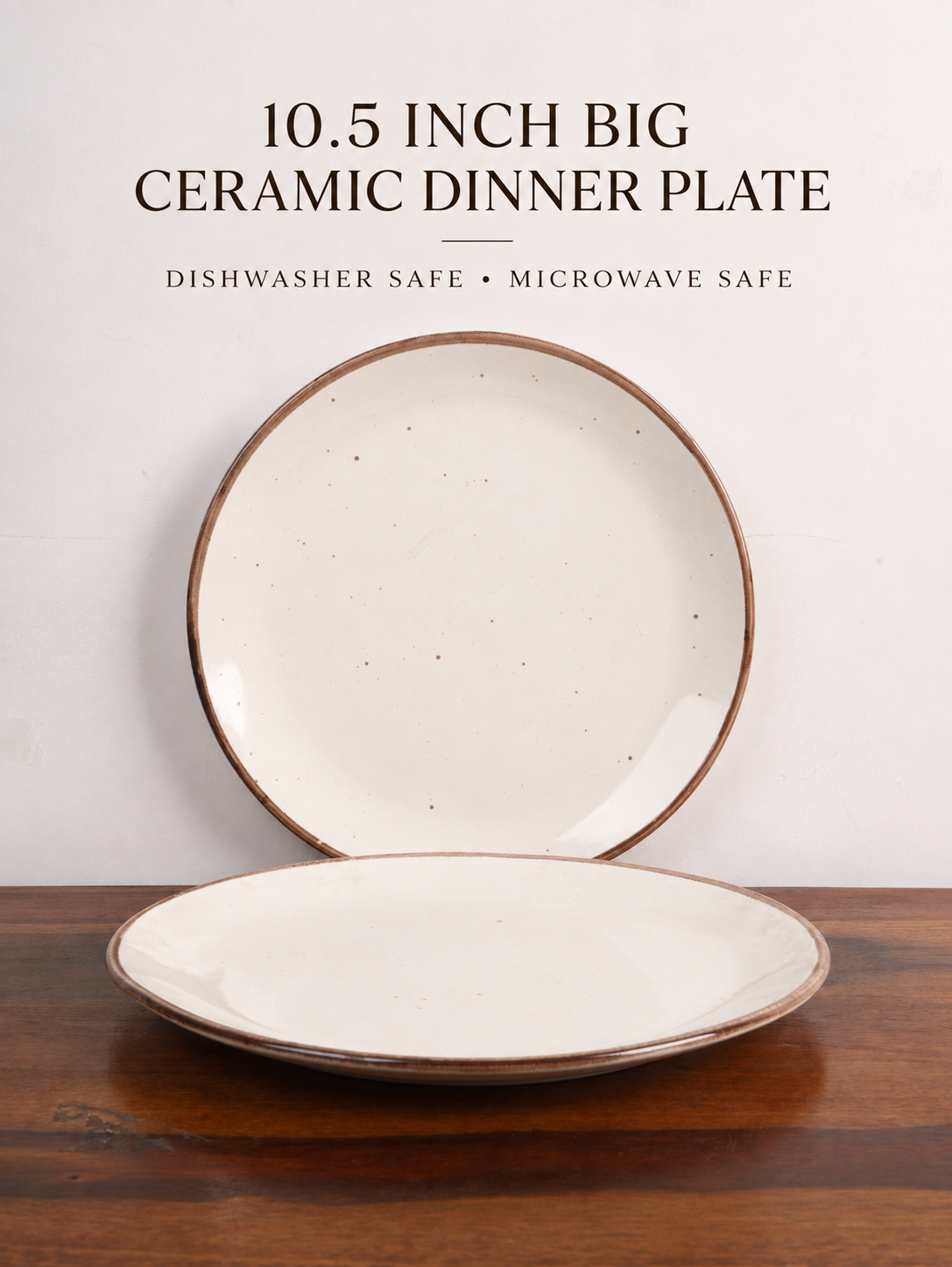 Studio Pottery Ceramic Dinner Plate Set of 2