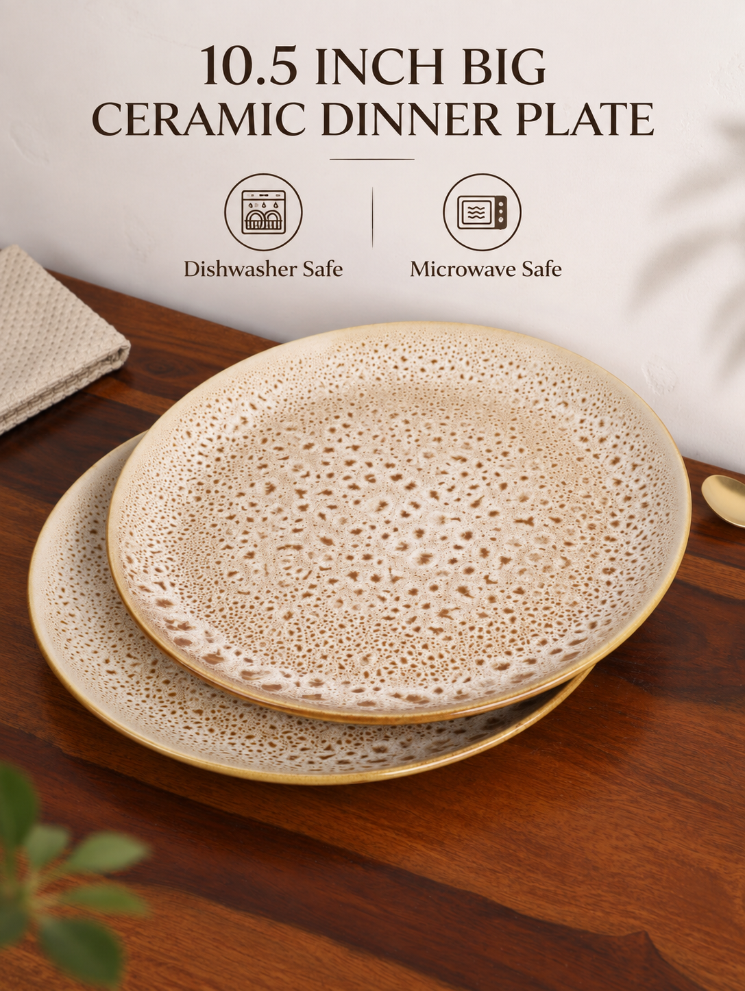 Studio Pottery Ceramic Dinner Plate Set of 2
