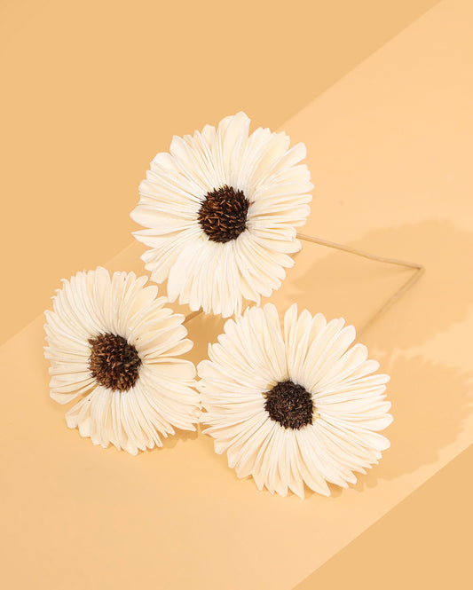 Snowy sunflower