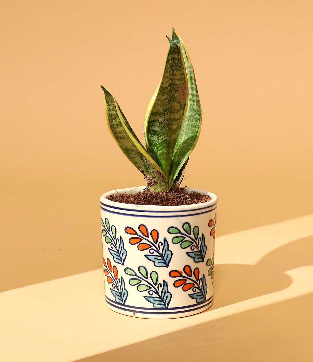 Blossom small round planter ( only Pot )