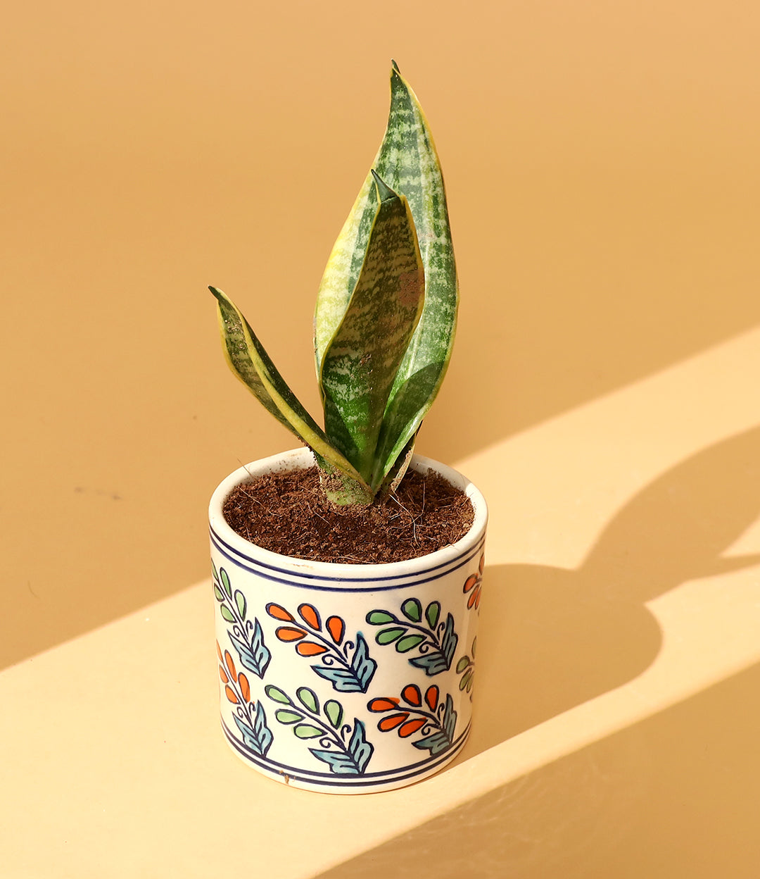 Blossom small round planter ( only Pot )