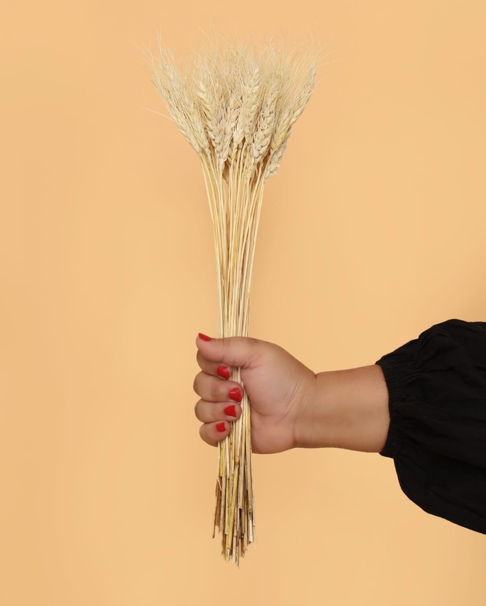 Wheat grass 20 Strands